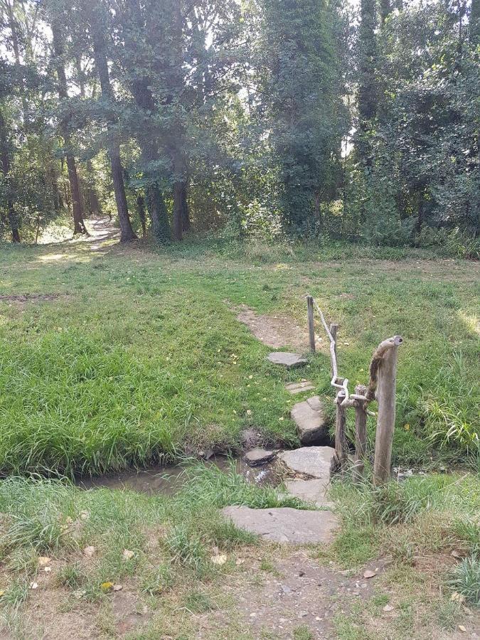 Bnbmarlies Oorsbeek Exterior foto